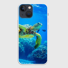 Чехол для iPhone 13 mini с принтом Морская черепаха в Кировске,  |  | морская черепаха | океан | подводный мир | черепаха