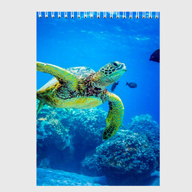 Скетчбук с принтом Морская черепаха в Кировске, 100% бумага
 | 48 листов, плотность листов — 100 г/м2, плотность картонной обложки — 250 г/м2. Листы скреплены сверху удобной пружинной спиралью | Тематика изображения на принте: морская черепаха | океан | подводный мир | черепаха