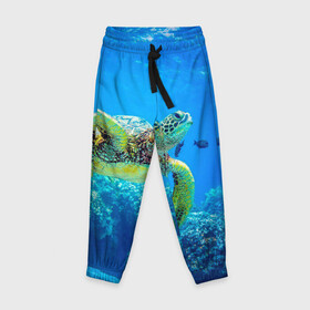 Детские брюки 3D с принтом Морская черепаха в Кировске, 100% полиэстер | манжеты по низу, эластичный пояс регулируется шнурком, по бокам два кармана без застежек, внутренняя часть кармана из мелкой сетки | морская черепаха | океан | подводный мир | черепаха
