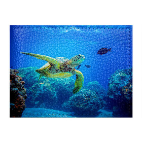 Обложка для студенческого билета с принтом Морская черепаха в Кировске, натуральная кожа | Размер: 11*8 см; Печать на всей внешней стороне | морская черепаха | океан | подводный мир | черепаха