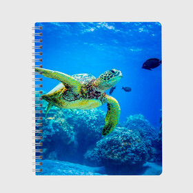Тетрадь с принтом Морская черепаха в Кировске, 100% бумага | 48 листов, плотность листов — 60 г/м2, плотность картонной обложки — 250 г/м2. Листы скреплены сбоку удобной пружинной спиралью. Уголки страниц и обложки скругленные. Цвет линий — светло-серый
 | Тематика изображения на принте: морская черепаха | океан | подводный мир | черепаха