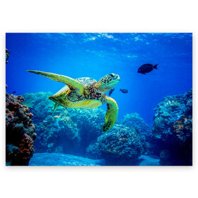 Поздравительная открытка с принтом Морская черепаха в Кировске, 100% бумага | плотность бумаги 280 г/м2, матовая, на обратной стороне линовка и место для марки
 | Тематика изображения на принте: морская черепаха | океан | подводный мир | черепаха
