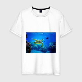 Мужская футболка хлопок с принтом Морская черепаха в Кировске, 100% хлопок | прямой крой, круглый вырез горловины, длина до линии бедер, слегка спущенное плечо. | морская черепаха | океан | подводный мир | черепаха