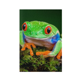 Обложка для паспорта матовая кожа с принтом Тропическая лягушка в Кировске, натуральная матовая кожа | размер 19,3 х 13,7 см; прозрачные пластиковые крепления | Тематика изображения на принте: зеленая лягушка | лягушка | тропики