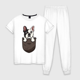 Женская пижама хлопок с принтом Карманный пёс в Кировске, 100% хлопок | брюки и футболка прямого кроя, без карманов, на брюках мягкая резинка на поясе и по низу штанин | Тематика изображения на принте: бульдог | дог | карман | пес | собака