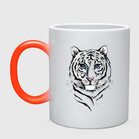 Кружка хамелеон с принтом Белый тигр в Кировске, керамика | меняет цвет при нагревании, емкость 330 мл | альфа | белый | дикие | дикий | животные | звери | зверь | кот | котик | крутой | полоски | принт | природа | самец | тигр | тигриныйкрасивый