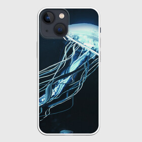 Чехол для iPhone 13 mini с принтом Рисунок медуза в Кировске,  |  | medusa | арт | животные | медузы | рисунок | рыбы | щупальца