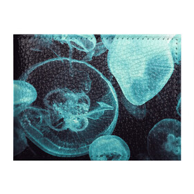 Обложка для студенческого билета с принтом Медуза в Кировске, натуральная кожа | Размер: 11*8 см; Печать на всей внешней стороне | medusa | животные | медузы | мир | подводный | рыбы | щупальца