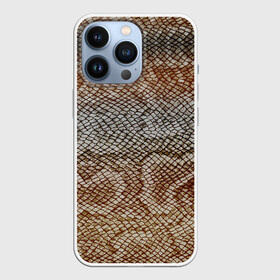 Чехол для iPhone 13 Pro с принтом Snake skin в Кировске,  |  | animal | leather | natural | skin | snake | texture | wild