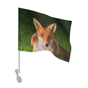 Флаг для автомобиля с принтом Лисица в Кировске, 100% полиэстер | Размер: 30*21 см | fox | foxy | животное | звери | лиса | лисенок | лисичка | милая | рыжая | фокс