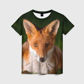 Женская футболка 3D с принтом Лисица в Кировске, 100% полиэфир ( синтетическое хлопкоподобное полотно) | прямой крой, круглый вырез горловины, длина до линии бедер | fox | foxy | животное | звери | лиса | лисенок | лисичка | милая | рыжая | фокс