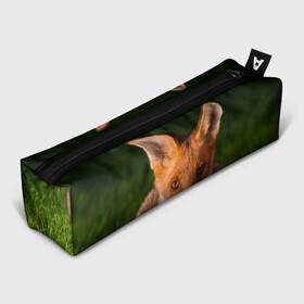 Пенал школьный 3D с принтом Лисица в Кировске, 100% полиэстер | плотная ткань, застежка на молнии | Тематика изображения на принте: fox | foxy | животное | звери | лиса | лисенок | лисичка | милая | рыжая | фокс