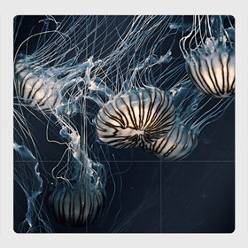 Магнитный плакат 3Х3 с принтом Рисунок медуза в Кировске, Полимерный материал с магнитным слоем | 9 деталей размером 9*9 см | medusa | арт | животные | медузы | рисунок | рыбы | щупальца