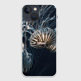 Чехол для iPhone 13 mini с принтом Рисунок медуза в Кировске,  |  | medusa | арт | животные | медузы | рисунок | рыбы | щупальца