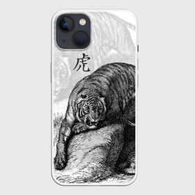 Чехол для iPhone 13 с принтом Тигр и змея в Кировске,  |  | дикий.природа | животные | зверь | змея | иероглиф | кошка | надпись на японском | тигр
