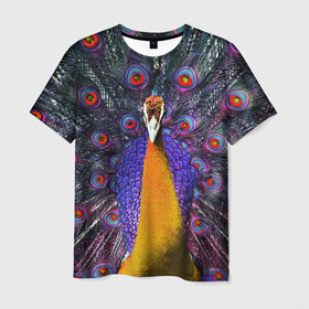 Мужская футболка 3D с принтом Павлин в Кировске, 100% полиэфир | прямой крой, круглый вырез горловины, длина до линии бедер | peacock | peafowl | plumage | оперение | павлин
