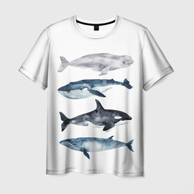 Мужская футболка 3D с принтом киты в Кировске, 100% полиэфир | прямой крой, круглый вырез горловины, длина до линии бедер | ocean | orca | sea | sea animal | whale | белуха | дельфин | касатка | кит | море | океан | рисунок кита | синий кит