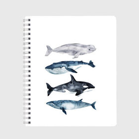 Тетрадь с принтом киты в Кировске, 100% бумага | 48 листов, плотность листов — 60 г/м2, плотность картонной обложки — 250 г/м2. Листы скреплены сбоку удобной пружинной спиралью. Уголки страниц и обложки скругленные. Цвет линий — светло-серый
 | Тематика изображения на принте: ocean | orca | sea | sea animal | whale | белуха | дельфин | касатка | кит | море | океан | рисунок кита | синий кит