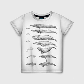 Детская футболка 3D с принтом киты графика в Кировске, 100% гипоаллергенный полиэфир | прямой крой, круглый вырез горловины, длина до линии бедер, чуть спущенное плечо, ткань немного тянется | Тематика изображения на принте: ocean | orca | sea | sea animal | whale | графика | дельфин | касатка | кит | море | океан | плакат | рисунок кита