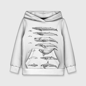 Детская толстовка 3D с принтом киты графика в Кировске, 100% полиэстер | двухслойный капюшон со шнурком для регулировки, мягкие манжеты на рукавах и по низу толстовки, спереди карман-кенгуру с мягким внутренним слоем | ocean | orca | sea | sea animal | whale | графика | дельфин | касатка | кит | море | океан | плакат | рисунок кита