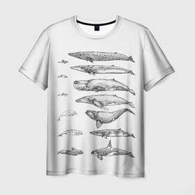 Мужская футболка 3D с принтом киты графика в Кировске, 100% полиэфир | прямой крой, круглый вырез горловины, длина до линии бедер | ocean | orca | sea | sea animal | whale | графика | дельфин | касатка | кит | море | океан | плакат | рисунок кита