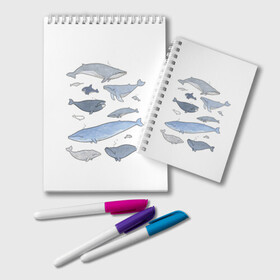 Блокнот с принтом киты в Кировске, 100% бумага | 48 листов, плотность листов — 60 г/м2, плотность картонной обложки — 250 г/м2. Листы скреплены удобной пружинной спиралью. Цвет линий — светло-серый
 | Тематика изображения на принте: ocean | orca | sea | sea animal | whale | графика | дельфин | иллюстрация | касатка | кит | море | океан | рисунок кита
