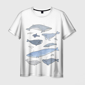 Мужская футболка 3D с принтом киты в Кировске, 100% полиэфир | прямой крой, круглый вырез горловины, длина до линии бедер | ocean | orca | sea | sea animal | whale | графика | дельфин | иллюстрация | касатка | кит | море | океан | рисунок кита
