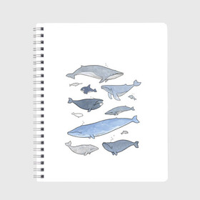 Тетрадь с принтом киты в Кировске, 100% бумага | 48 листов, плотность листов — 60 г/м2, плотность картонной обложки — 250 г/м2. Листы скреплены сбоку удобной пружинной спиралью. Уголки страниц и обложки скругленные. Цвет линий — светло-серый
 | Тематика изображения на принте: ocean | orca | sea | sea animal | whale | графика | дельфин | иллюстрация | касатка | кит | море | океан | рисунок кита