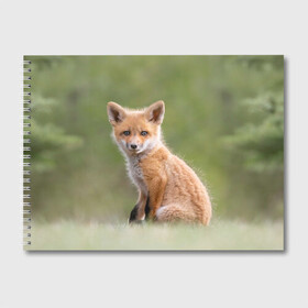 Альбом для рисования с принтом Лисенок в Кировске, 100% бумага
 | матовая бумага, плотность 200 мг. | Тематика изображения на принте: fox | foxy | животное | звери | лиса | лисенок | лисичка | милая | рыжая | фокс
