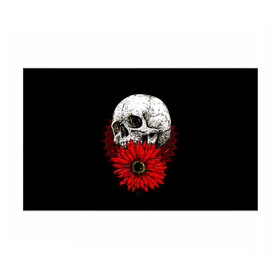 Бумага для упаковки 3D с принтом Череп и Красный Цветок Skull в Кировске, пластик и полированная сталь | круглая форма, металлическое крепление в виде кольца | flowers | head | skulls | букет | голова | животные | кости | мозги | паттерн | полосы | природа | розы | скелет | текстура | узор | флора | хо | цветы | черепа | черный | яркий