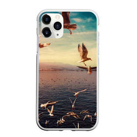 Чехол для iPhone 11 Pro матовый с принтом Чайки на воде в Кировске, Силикон |  | вода | горы | закат | море | море чайки | на воде | озеро | птица | птицу чайку | птицы | суша | чайка | чайка 2 | чайка птица | чайка чайку | чайки | чайки на воде | чайков | чайку 2