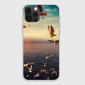Чехол для iPhone 12 Pro Max с принтом Чайки на воде в Кировске, Силикон |  | вода | горы | закат | море | море чайки | на воде | озеро | птица | птицу чайку | птицы | суша | чайка | чайка 2 | чайка птица | чайка чайку | чайки | чайки на воде | чайков | чайку 2