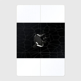Магнитный плакат 2Х3 с принтом Косатки в Кировске, Полимерный материал с магнитным слоем | 6 деталей размером 9*9 см | Тематика изображения на принте: whale | кит | косатка | косатки | морские