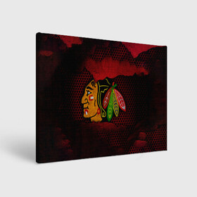 Холст прямоугольный с принтом CHICAGO NHL в Кировске, 100% ПВХ |  | blackhawks | chicago | iron | logo | nhl | red | sport | usa | блэкхоукс | железо | логотип | нхл | сетка | спорт | сша | хоккей | чикаго