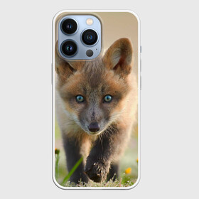 Чехол для iPhone 13 Pro с принтом Лисичка в Кировске,  |  | fox | foxy | животное | звери | лиса | лисенок | лисичка | милая | рыжая | фокс