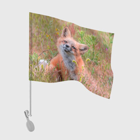 Флаг для автомобиля с принтом Лисичка в Кировске, 100% полиэстер | Размер: 30*21 см | fox | foxy | животное | звери | лиса | лисенок | лисичка | милая | рыжая | фокс