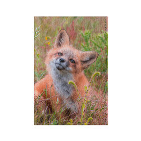 Обложка для паспорта матовая кожа с принтом Лисичка в Кировске, натуральная матовая кожа | размер 19,3 х 13,7 см; прозрачные пластиковые крепления | fox | foxy | животное | звери | лиса | лисенок | лисичка | милая | рыжая | фокс
