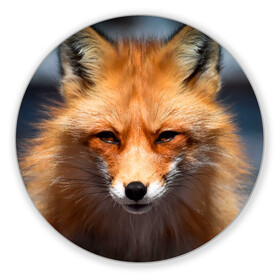 Коврик для мышки круглый с принтом Хитрая лисица в Кировске, резина и полиэстер | круглая форма, изображение наносится на всю лицевую часть | fox | foxy | животное | звери | лиса | лисенок | лисичка | милая | рыжая | фокс