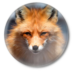 Значок с принтом Хитрая лисица в Кировске,  металл | круглая форма, металлическая застежка в виде булавки | Тематика изображения на принте: fox | foxy | животное | звери | лиса | лисенок | лисичка | милая | рыжая | фокс