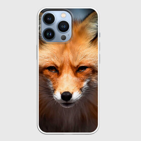 Чехол для iPhone 13 Pro с принтом Хитрая лисица в Кировске,  |  | fox | foxy | животное | звери | лиса | лисенок | лисичка | милая | рыжая | фокс