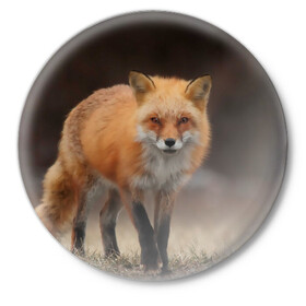 Значок с принтом Хитрая лисица в Кировске,  металл | круглая форма, металлическая застежка в виде булавки | Тематика изображения на принте: fox | foxy | животное | звери | лиса | лисенок | лисичка | милая | рыжая | фокс