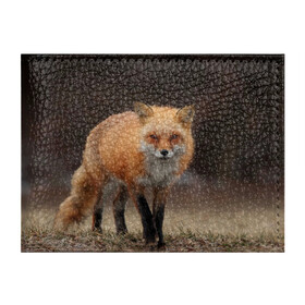 Обложка для студенческого билета с принтом Хитрая лисица в Кировске, натуральная кожа | Размер: 11*8 см; Печать на всей внешней стороне | Тематика изображения на принте: fox | foxy | животное | звери | лиса | лисенок | лисичка | милая | рыжая | фокс