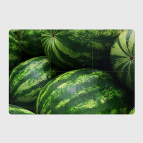 Магнитный плакат 3Х2 с принтом Арбузы в Кировске, Полимерный материал с магнитным слоем | 6 деталей размером 9*9 см | арбуз | арбузы | еда | пища | растение | растения | ягода | ягоды
