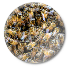 Значок с принтом Пчёлы в Кировске,  металл | круглая форма, металлическая застежка в виде булавки | живность | животное | животные | насекомое | насекомые | пчела | пчёлка | пчёлки | пчёлы