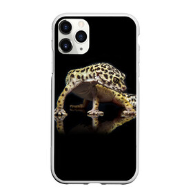 Чехол для iPhone 11 Pro Max матовый с принтом ЭУБЛЕФАР  EUBLEPHARIS в Кировске, Силикон |  | tegunvteg | геккон | гекон | зублефар | леопардовый геккон | эу | эублефар | ящерица
