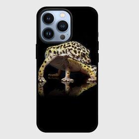 Чехол для iPhone 13 Pro с принтом ЭУБЛЕФАР  EUBLEPHARIS в Кировске,  |  | tegunvteg | геккон | гекон | зублефар | леопардовый геккон | эу | эублефар | ящерица
