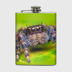Фляга ПАУК МАКРО: в Кировске, металлический корпус | емкость 0,22 л, размер 125 х 94 мм. Виниловая наклейка запечатывается полностью | Тематика изображения на принте: tegunvteg | глаза | животные | макро | насекомые | паук | природа