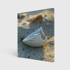 Холст квадратный с принтом Морская ракушка в Кировске, 100% ПВХ |  | морская | морские | песок | пляж | пляжный | ракушка | ракушки