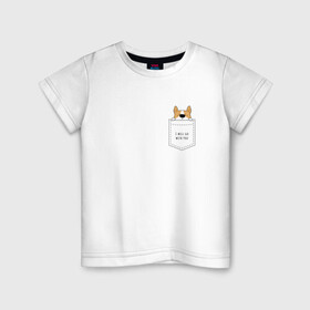 Детская футболка хлопок с принтом Корги в кармане_01 в Кировске, 100% хлопок | круглый вырез горловины, полуприлегающий силуэт, длина до линии бедер | corgi | dog | вельш корги | карман | корги | коржик | собака