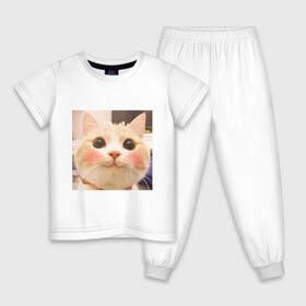 Детская пижама хлопок с принтом Мем про котов в Кировске, 100% хлопок |  брюки и футболка прямого кроя, без карманов, на брюках мягкая резинка на поясе и по низу штанин
 | Тематика изображения на принте: белый | кот | мем | милый | прикол